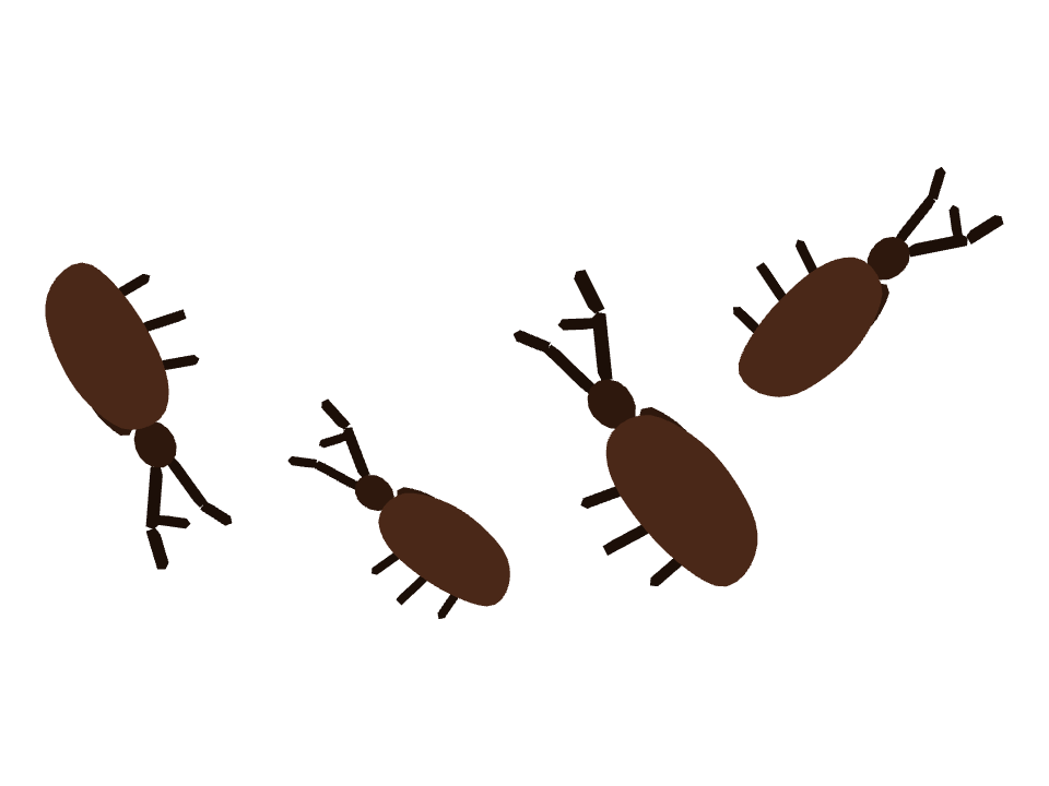 Stag Beetle drawn along a curved stroke