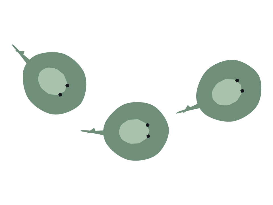 Stingray drawn along a curved stroke