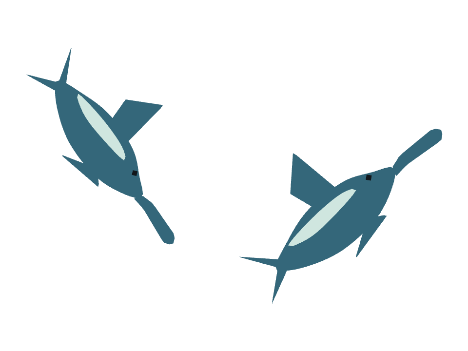 Swordfish drawn along a curved stroke