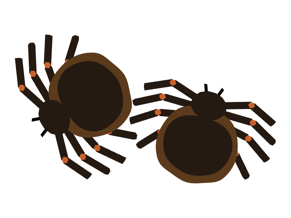 Tarantula drawn along a curved stroke