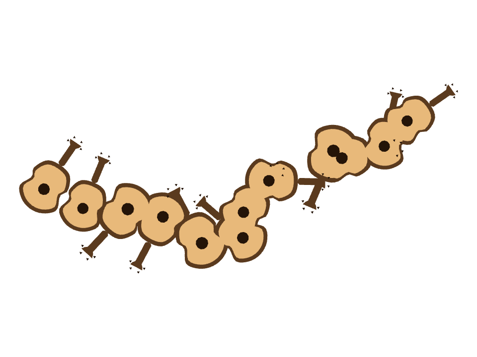 Ukulele drawn along one curved stroke