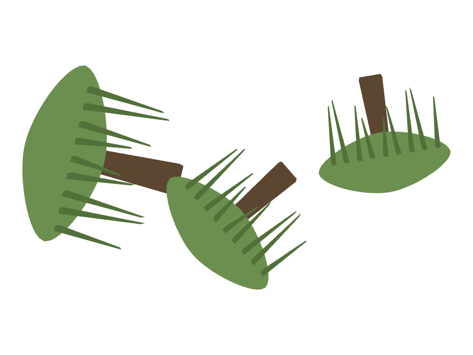 Willow Tree drawn along a curved stroke