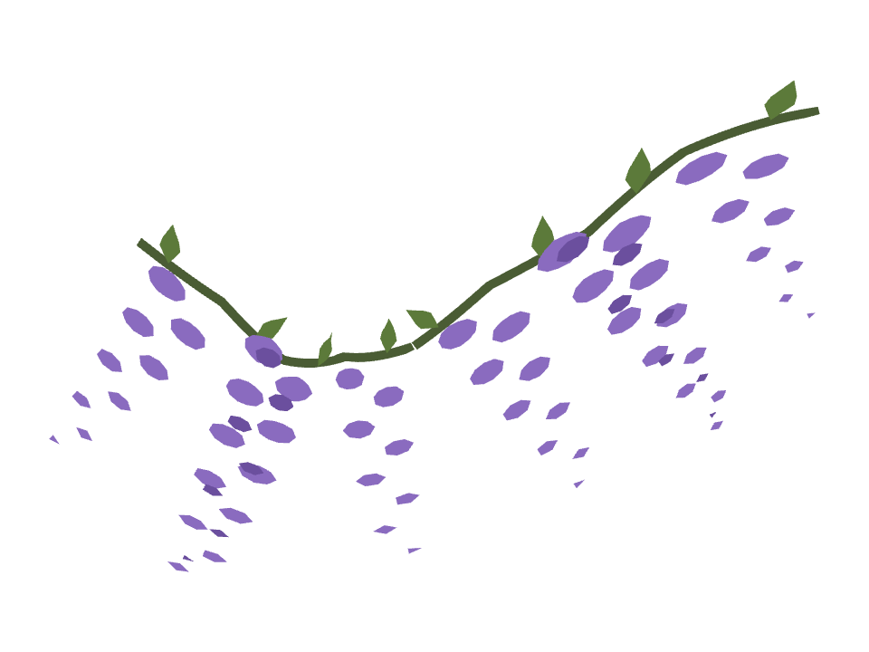 Wisteria Vine drawn along a curved stroke