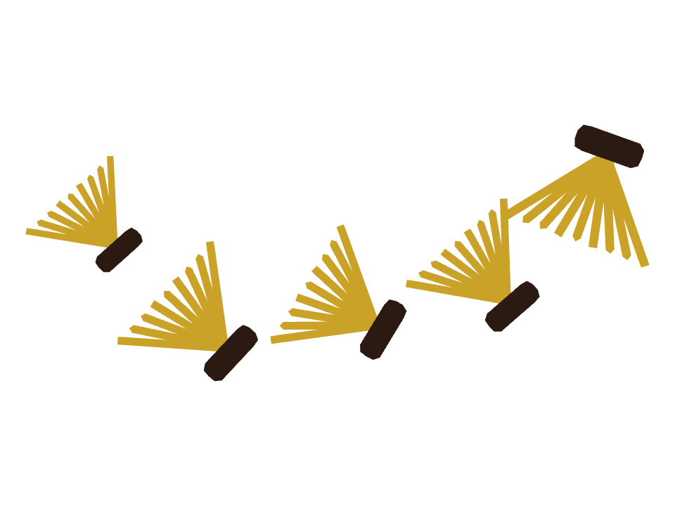Witch Broom drawn along a curved stroke