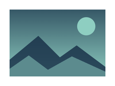 Mint and Navy applied to a circle, a square and the letters Aa