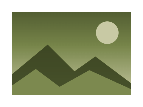 Moss and Bone applied to a circle, a square and the letters Aa
