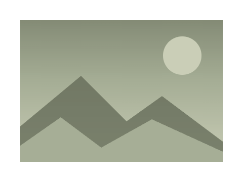 Olive Grove applied to a circle, a square and the letters Aa