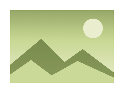 Pistachio applied to a circle, a square and the letters Aa
