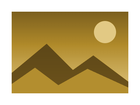 Wheat Field applied to a circle, a square and the letters Aa